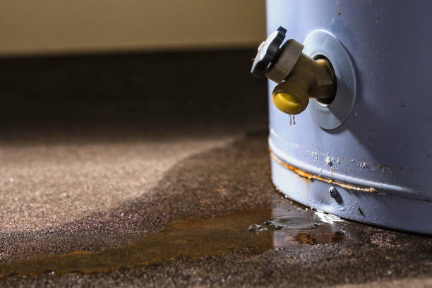 Best Flooded house restoration  in Searles Valley, CA