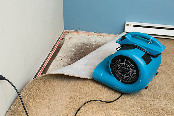 Best Residential water damage restoration  in Searles Valley, CA